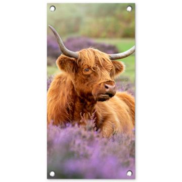 Tuinposter - Hooglander in de Heide
