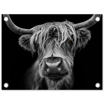 Tuinposter - Hooglander in Zwart-Wit