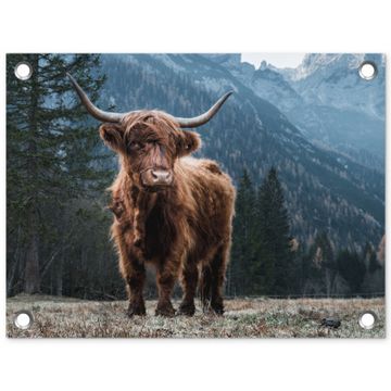Tuinposter - Hooglander in de Bergen