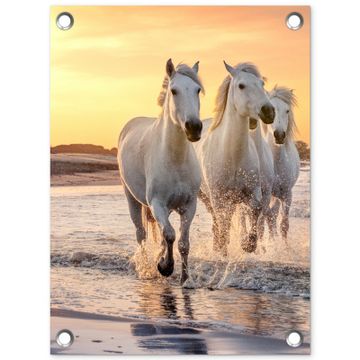 Tuinposter - Witte paarden galopperen langs de kust