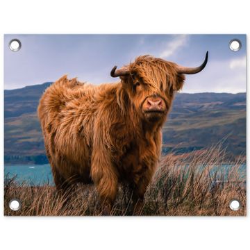 Tuinposter - Hooglander bij het Meer
