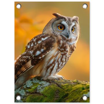 Tuinposter - Bosuil op Mosbegroeide Tak