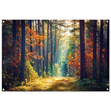 Tuinposter - Herfstbos in de Ochtendmist