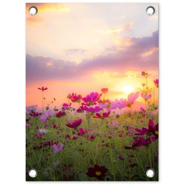 Tuinposter - Bloemenveld bij zonsondergang