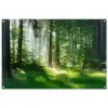 Zonnestralen in een groen bos tuinposter los doek groot -3d