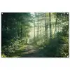 Bosweg in ochtendlicht tuinposter los doek groot -3d