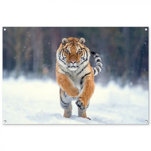 Tuinposter - Tijger rennend door de sneeuw