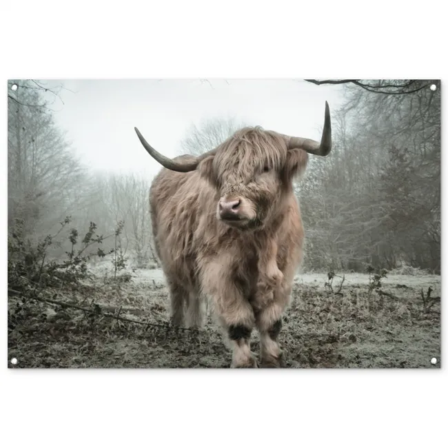 Hooglander in de Mist tuinposter los doek groot -3d