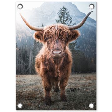 Tuinposter - Hooglander van Dichtbij
