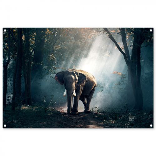 Tuinposter - Olifant in mystiek bos