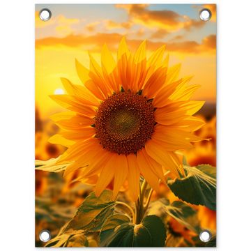 Tuinposter - Zonnebloem in de avondzon