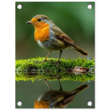 Tuinposter - Roodborstje bij het Water