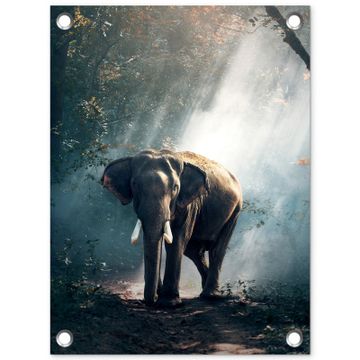 Tuinposter - Olifant in mystiek bos
