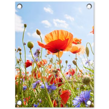 Tuinposter - Klaprozen en korenbloemen in zomers licht