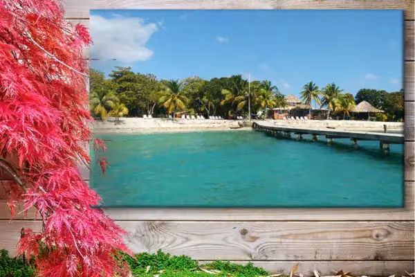 Tuinposter Panorama Tropisch Strand