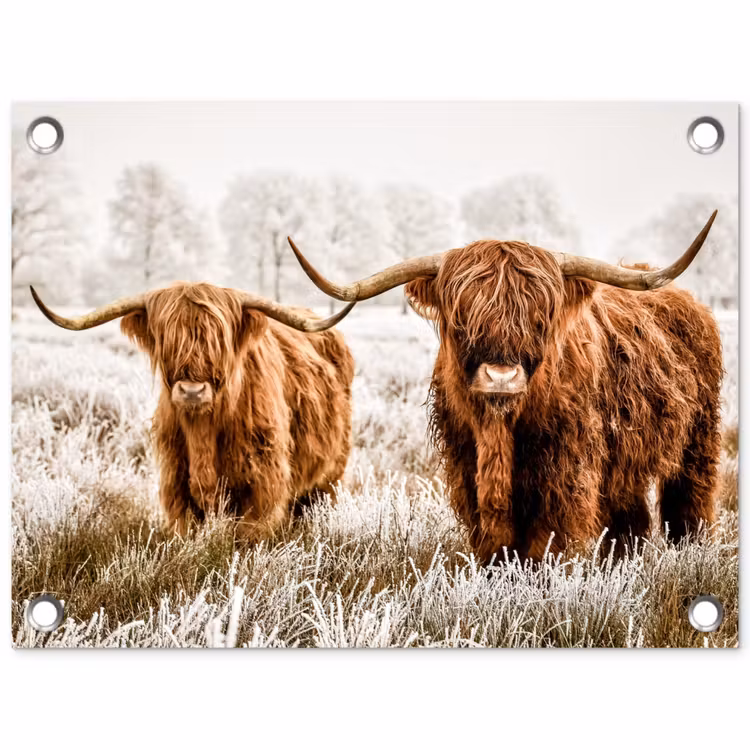 Tuinposter - Twee Hooglanders in de Winter — 1