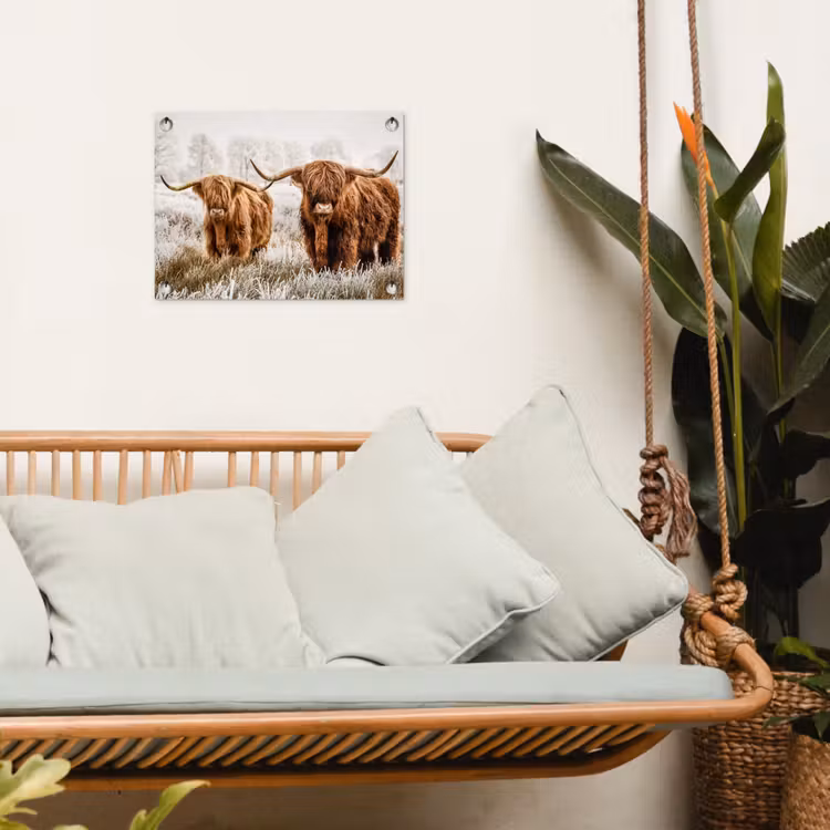 Tuinposter - Twee Hooglanders in de Winter — 4