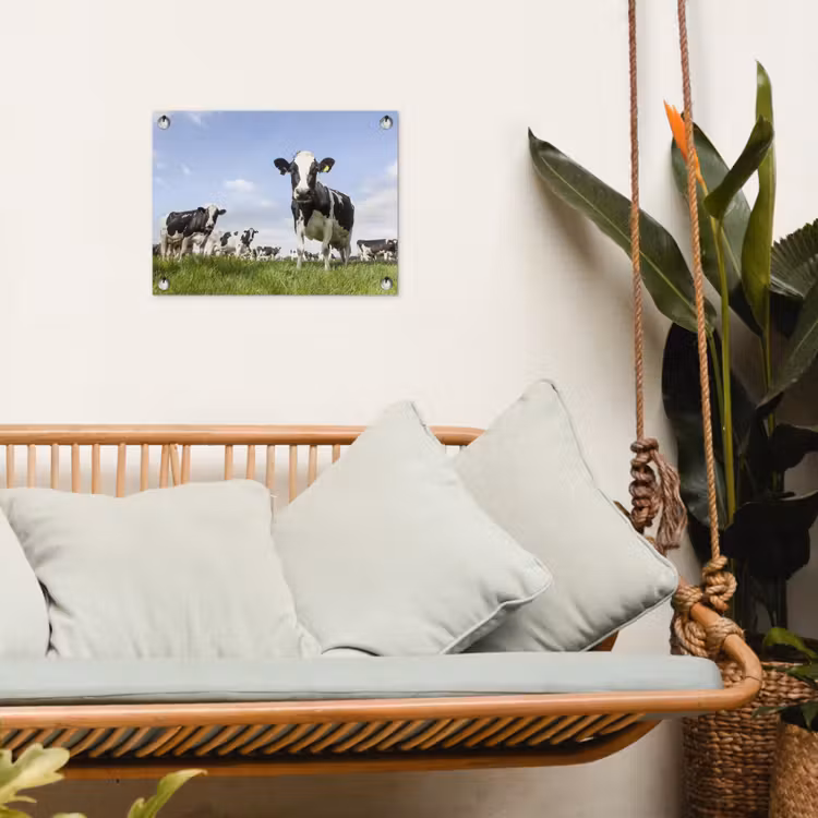 Tuinposter - Koeien in de weide onder een heldere lucht — 4
