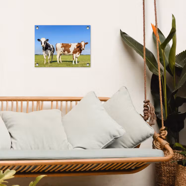 Tuinposter - Koeien in de Weide — 4
