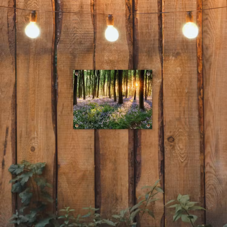 Tuinposter - Bos met blauwe hyacinten bij zonsopgang — 2