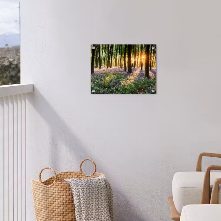 Tuinposter - Bos met blauwe hyacinten bij zonsopgang — 3