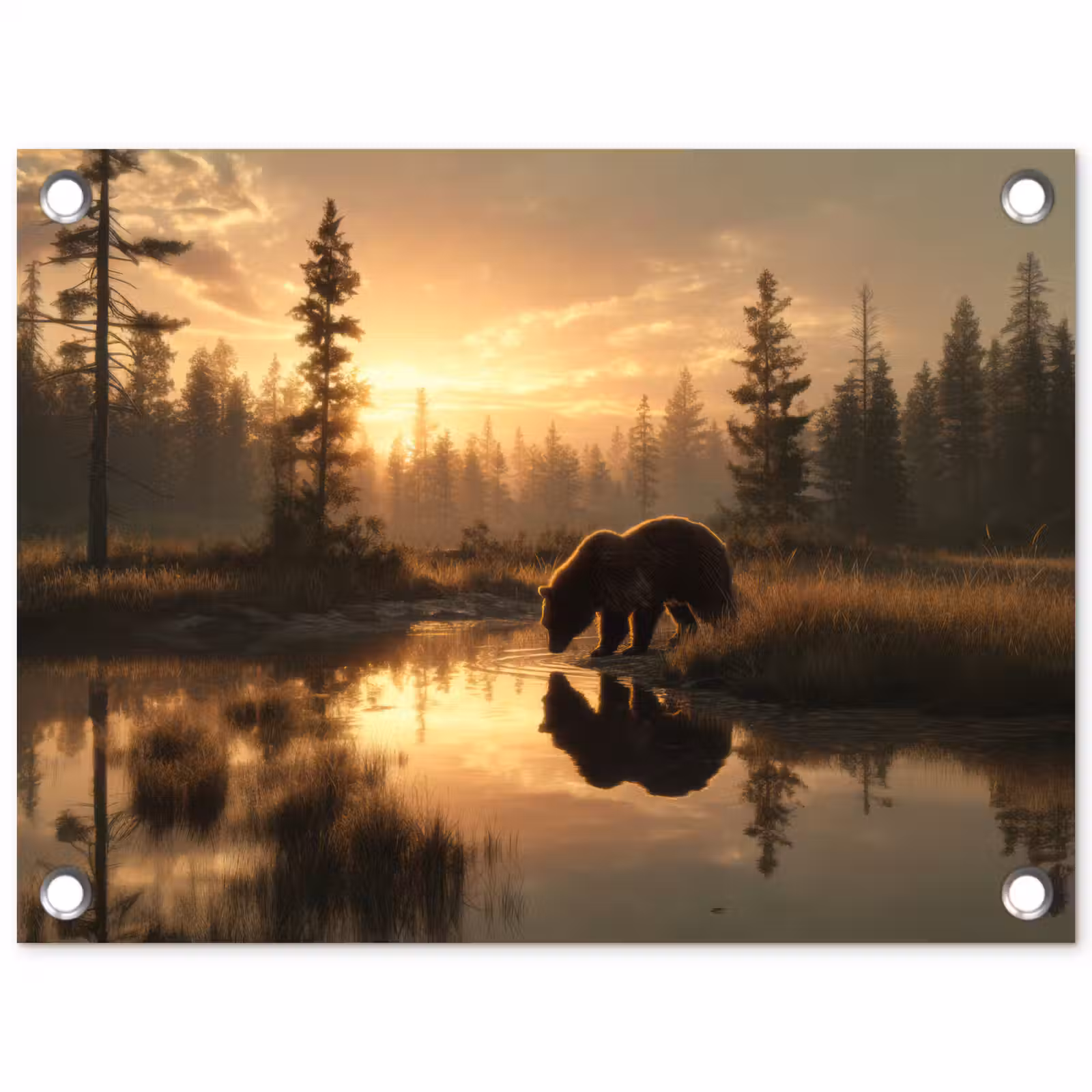 Tuinposter - Beer - water - Bos - Ochtendlicht — 1