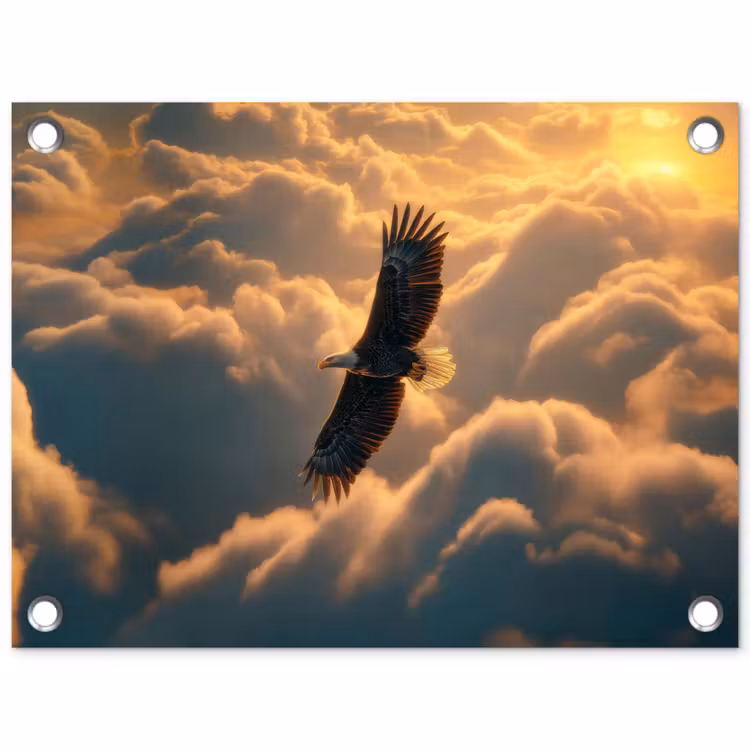 Tuinposter - Adelaar - Wolken - Zon — 1