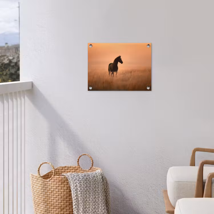 Tuinposter - Paard - Grasveld - Zonsondergang — 3