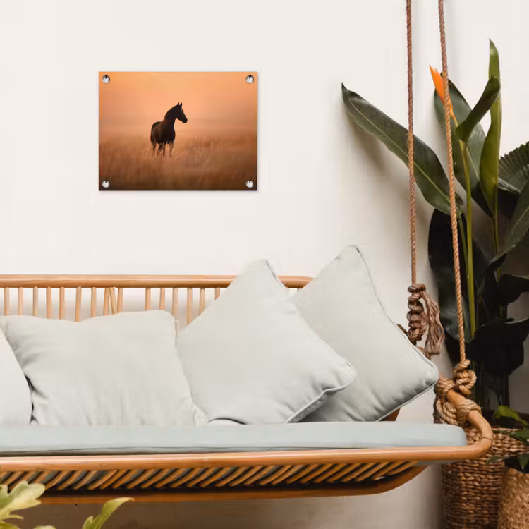 Tuinposter - Paard - Grasveld - Zonsondergang — 4