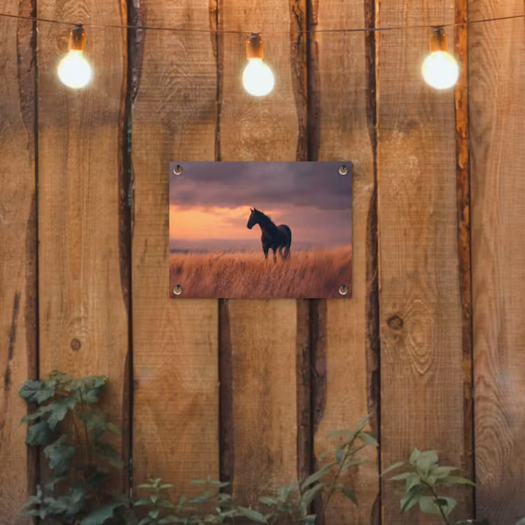 Tuinposter - Paard - Wolken - Open veld — 2