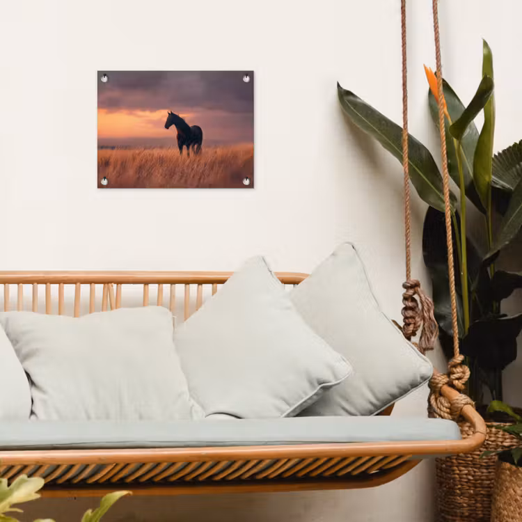 Tuinposter - Paard - Wolken - Open veld — 4