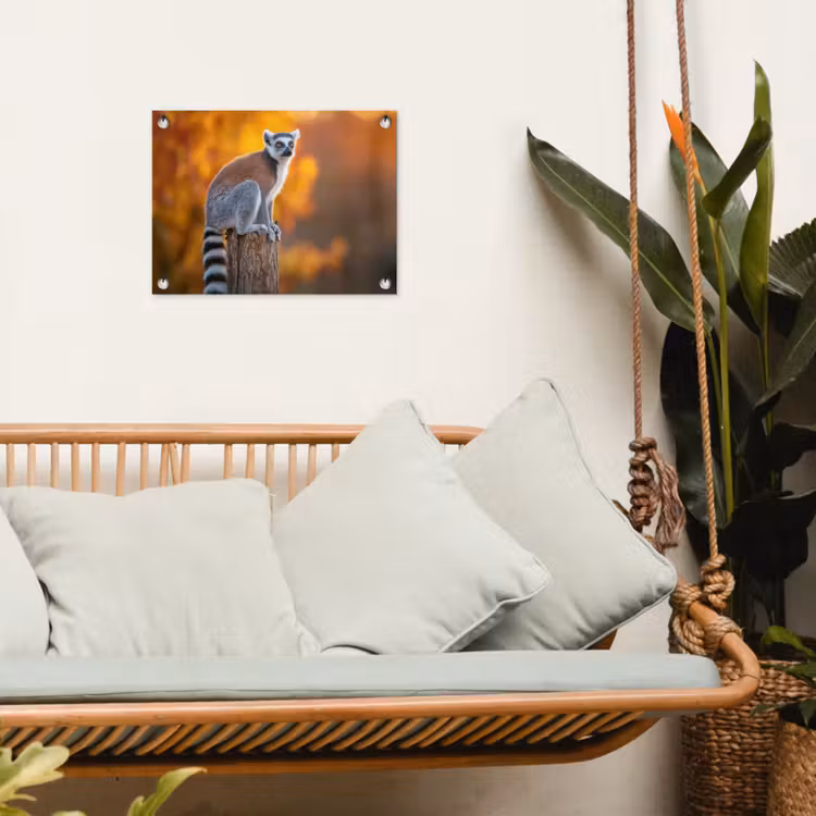 Tuinposter - Ringstaartmaki - Boomstronk - Gestreept — 4